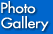 Photo Gallery